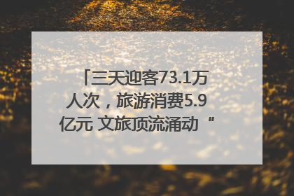 三天迎客73.1万人次，旅游消费5.9亿元 文旅顶流涌动“江宁style”