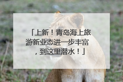 上新！青岛海上旅游新业态进一步丰富，到这里潜水！