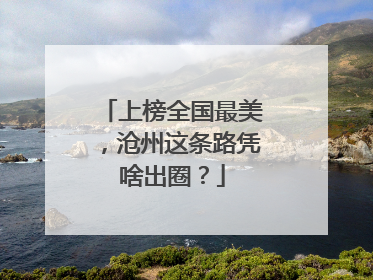 上榜全国最美，沧州这条路凭啥出圈？