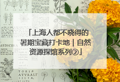 上海人都不晓得的 暑期宝藏打卡地｜自然资源探馆系列②
