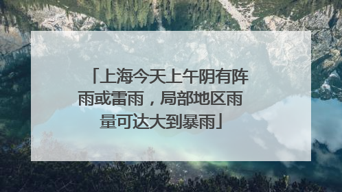 上海今天上午阴有阵雨或雷雨，局部地区雨量可达大到暴雨