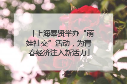 上海奉贤举办“萌娃社交”活动，为青春经济注入新活力