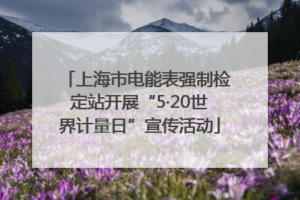 上海市电能表强制检定站开展“5·20世界计量日”宣传活动