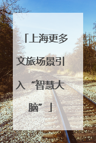上海更多文旅场景引入“智慧大脑”