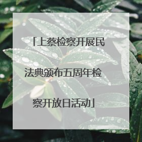 上蔡检察开展民法典颁布五周年检察开放日活动