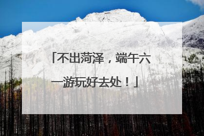 不出菏泽，端午六一游玩好去处！
