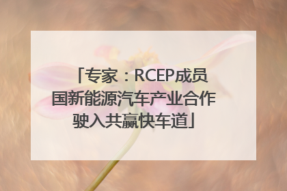 专家：RCEP成员国新能源汽车产业合作驶入共赢快车道
