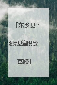 东乡县：纱线编织致富路