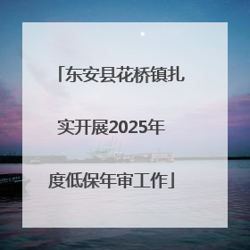 东安县花桥镇扎实开展2025年度低保年审工作