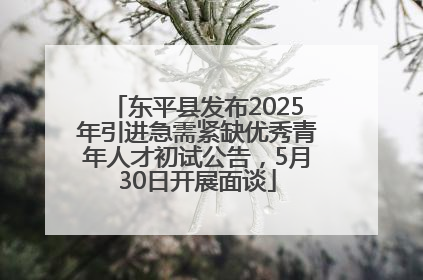 东平县发布2025年引进急需紧缺优秀青年人才初试公告，5月30日开展面谈