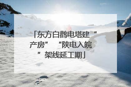 东方白鹳电塔建“产房” “陕电入皖”架线延工期