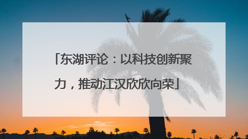 东湖评论：以科技创新聚力，推动江汉欣欣向荣