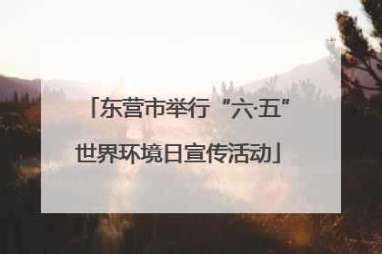 东营市举行“六·五”世界环境日宣传活动
