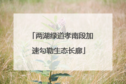 两湖绿道孝南段加速勾勒生态长廊