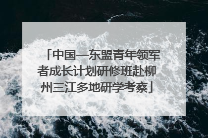中国—东盟青年领军者成长计划研修班赴柳州三江多地研学考察
