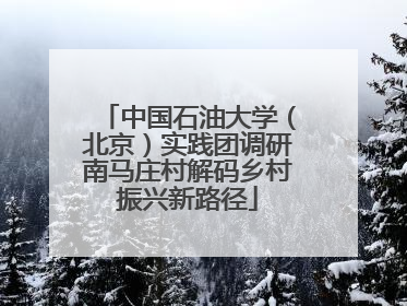 中国石油大学（北京）实践团调研南马庄村解码乡村振兴新路径