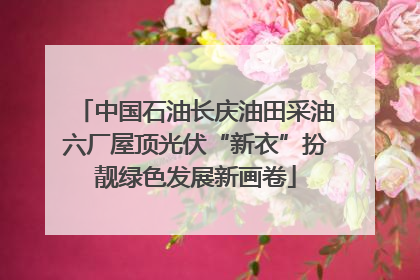 中国石油长庆油田采油六厂屋顶光伏“新衣”扮靓绿色发展新画卷