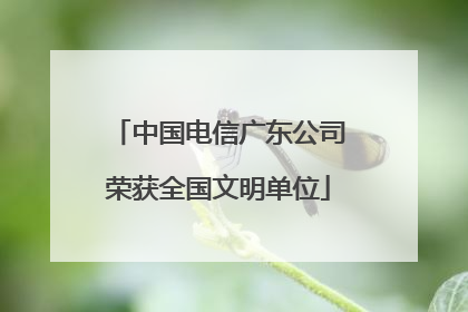 中国电信广东公司荣获全国文明单位