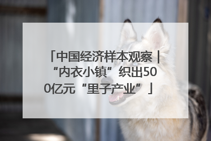 中国经济样本观察｜“内衣小镇”织出500亿元“里子产业”