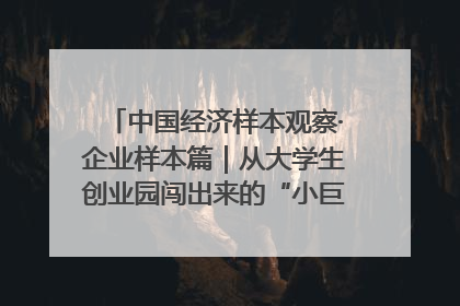 中国经济样本观察·企业样本篇｜从大学生创业园闯出来的“小巨人”——卡诺普机器人的逐梦历程