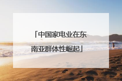 中国家电业在东南亚群体性崛起