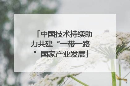 中国技术持续助力共建“一带一路”国家产业发展