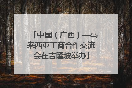 中国（广西）—马来西亚工商合作交流会在吉隆坡举办