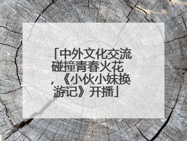 中外文化交流 碰撞青春火花，《小伙小妹换游记》开播