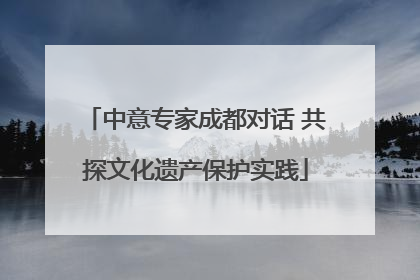 中意专家成都对话 共探文化遗产保护实践