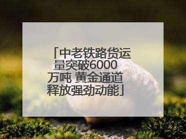 中老铁路货运量突破6000万吨 黄金通道释放强劲动能