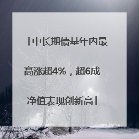 中长期债基年内最高涨超4%，超6成净值表现创新高