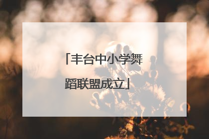 丰台中小学舞蹈联盟成立