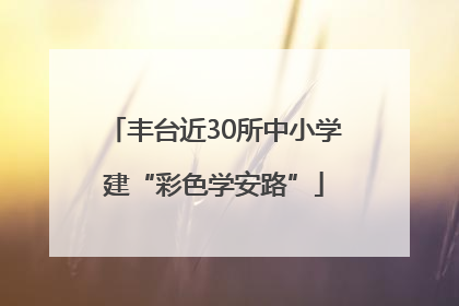 丰台近30所中小学建“彩色学安路”