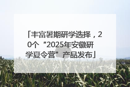 丰富暑期研学选择，20个“2025年安徽研学夏令营”产品发布
