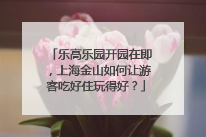乐高乐园开园在即，上海金山如何让游客吃好住玩得好？