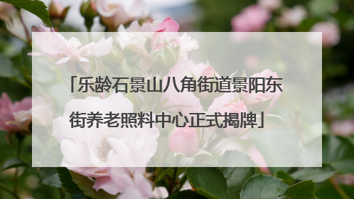 乐龄石景山八角街道景阳东街养老照料中心正式揭牌