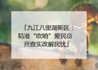 九江八里湖新区：精准“吹哨”聚民意 真查实改解民忧