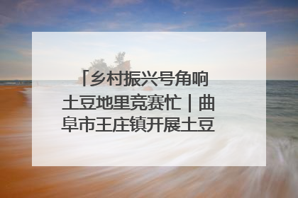 乡村振兴号角响 土豆地里竞赛忙｜曲阜市王庄镇开展土豆收获劳动竞赛