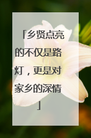 乡贤点亮的不仅是路灯，更是对家乡的深情
