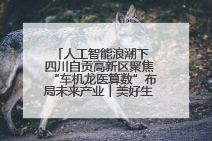 人工智能浪潮下 四川自贡高新区聚焦“车机龙医算数”布局未来产业丨美好生活有“盐”味