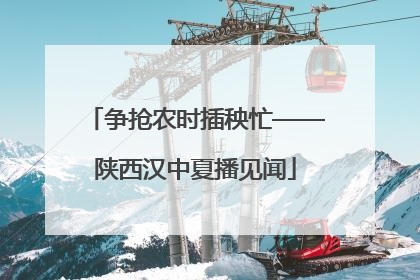 争抢农时插秧忙——陕西汉中夏播见闻