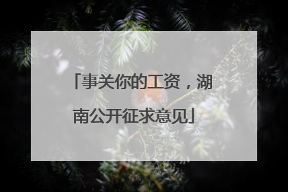 事关你的工资，湖南公开征求意见