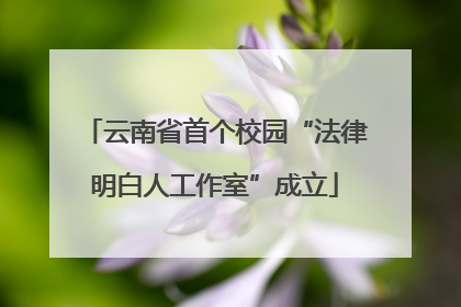 云南省首个校园“法律明白人工作室”成立