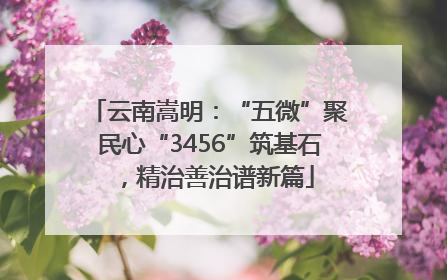 云南嵩明：“五微”聚民心“3456”筑基石，精治善治谱新篇