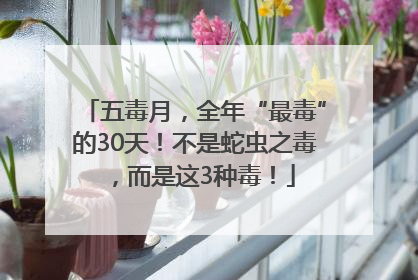 五毒月，全年“最毒”的30天！不是蛇虫之毒，而是这3种毒！