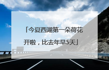 今夏西湖第一朵荷花开啦，比去年早5天