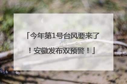 今年第1号台风要来了！安徽发布双预警！