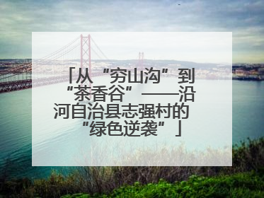 从“穷山沟”到“茶香谷”——沿河自治县志强村的“绿色逆袭”