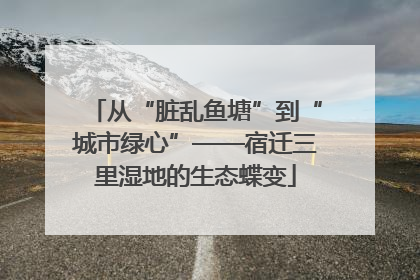 从“脏乱鱼塘”到“城市绿心”——宿迁三里湿地的生态蝶变