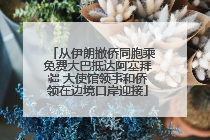 从伊朗撤侨同胞乘免费大巴抵达阿塞拜疆 大使馆领事和侨领在边境口岸迎接